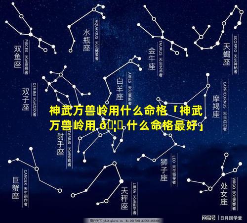 神武万兽岭用什么命格「神武万兽岭用 🦁 什么命格最好」